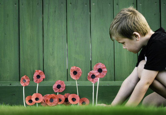A young child places some handcrafted poppy flowers next to a green fence. 