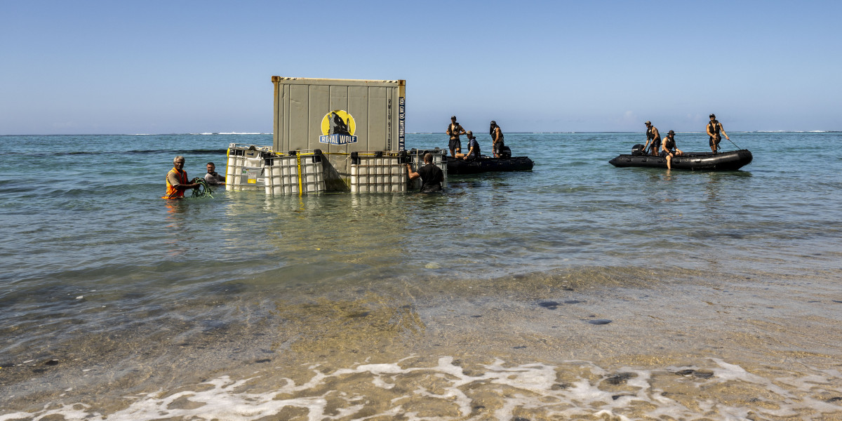 All Three Containers Removed From Reef After HMNZS Manawanui Sinking ...