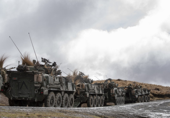 Light Armoured Vehicles lined up in the Waiouru Military Training Area