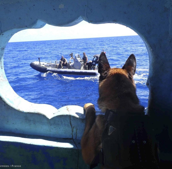 A French drug dog looks at a RHIB through a porthole while on patrols.