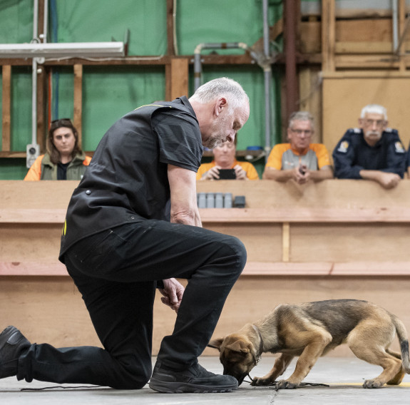 Dutch trainer Dick Staal brought his decades of experience to put dogs through their detection paces