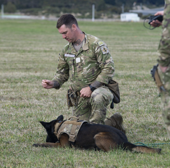 NZDF Military Working Dogs being tested across various terrain as they tracked a human scent